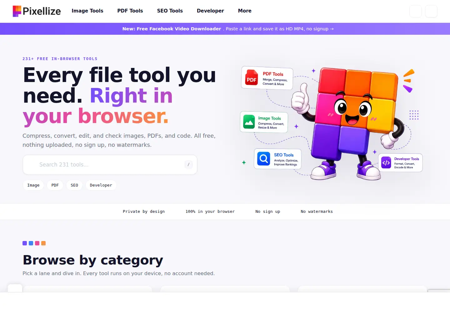 Captured homepage of pixellize.com in the current scan