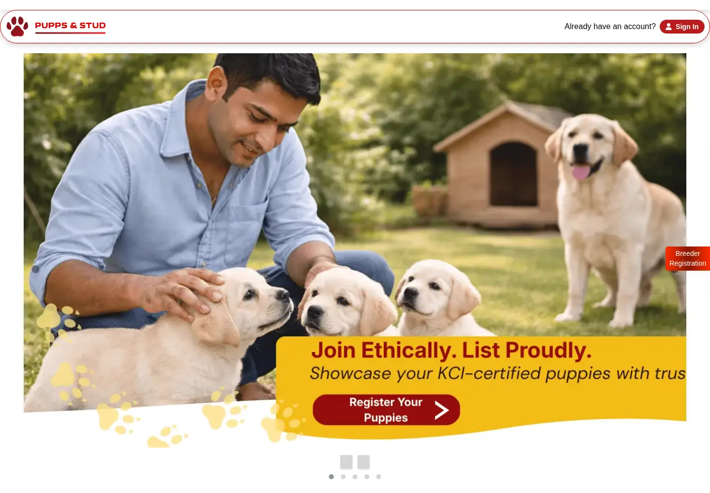 Screenshot of puppsstud.com