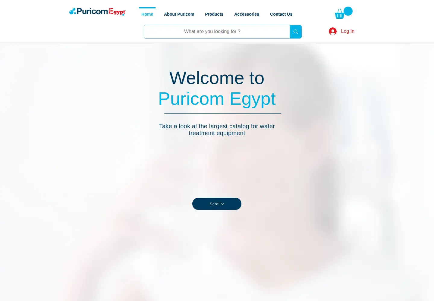 Screenshot of puricomegypt.com