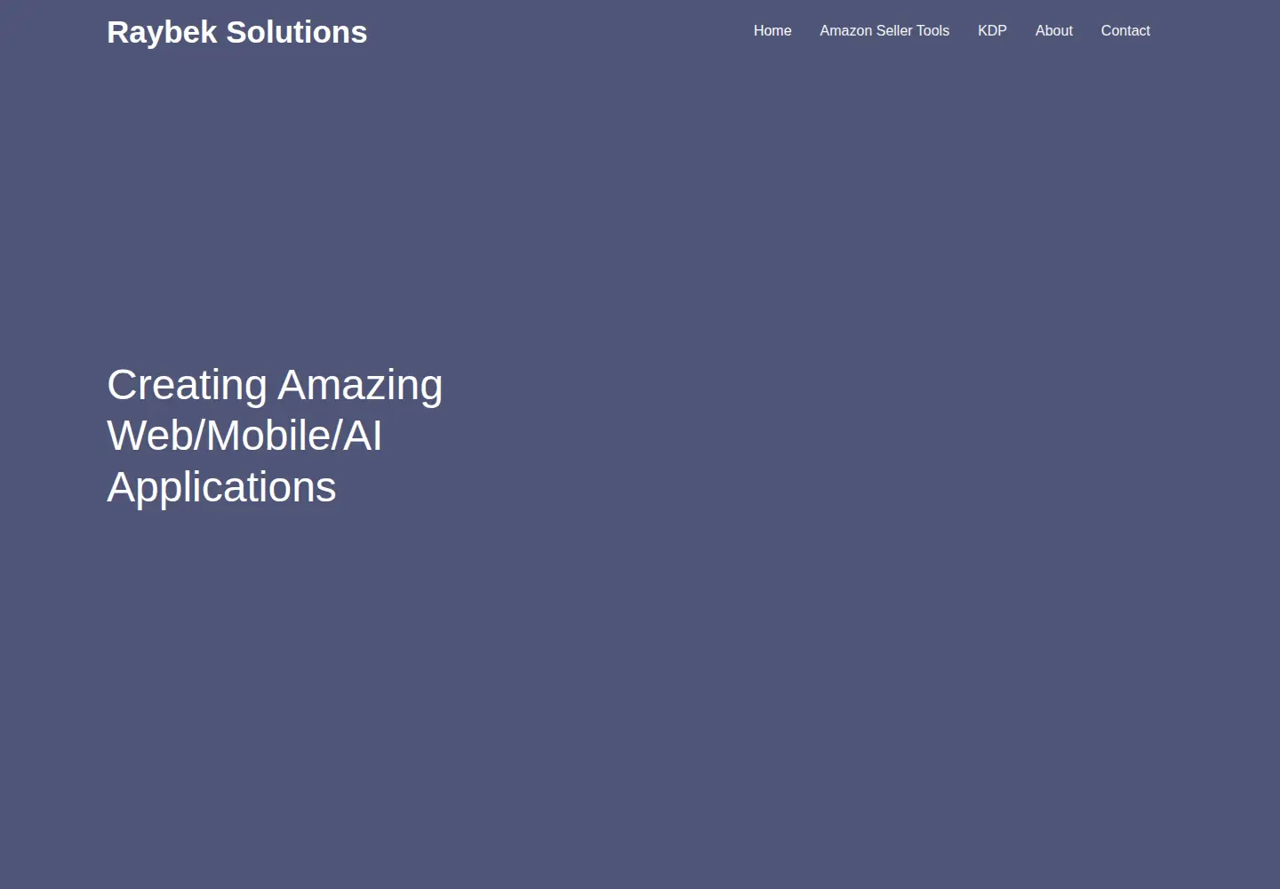 Captured homepage of raybeksolutions.com in the current scan