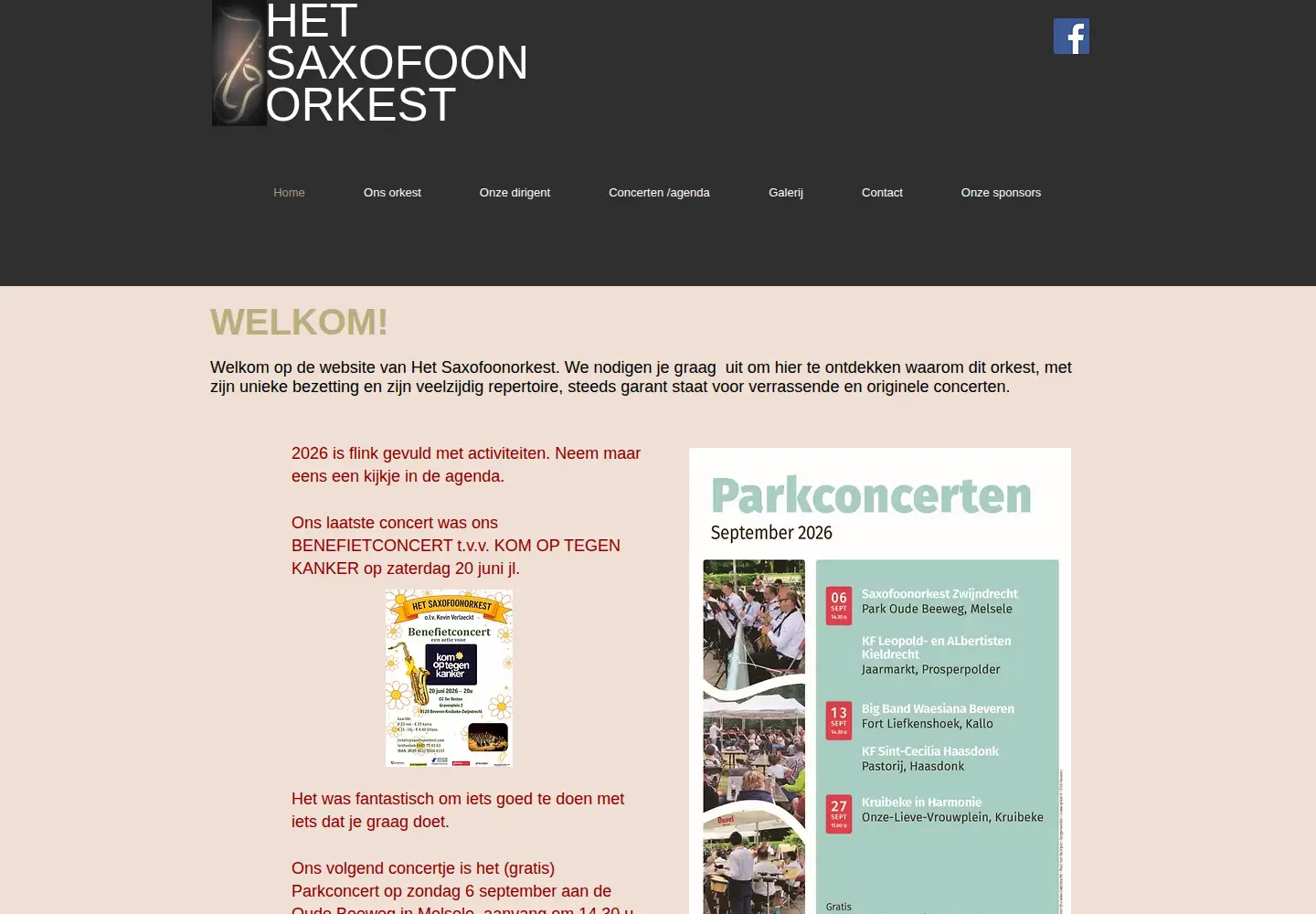 Screenshot of saxofoonorkest.com