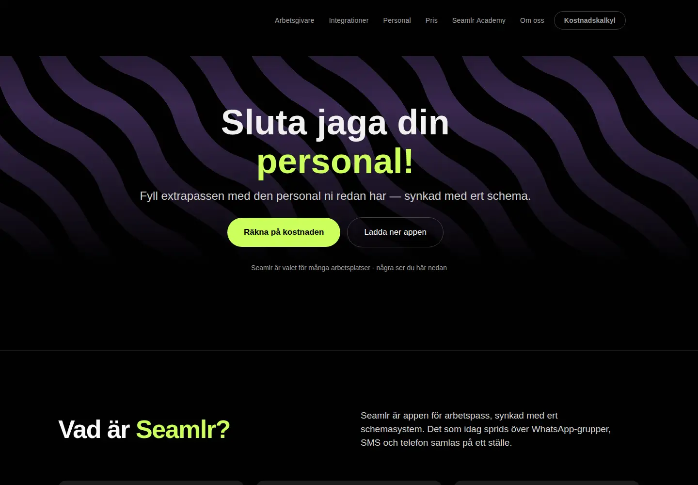 Screenshot of seamlr.com