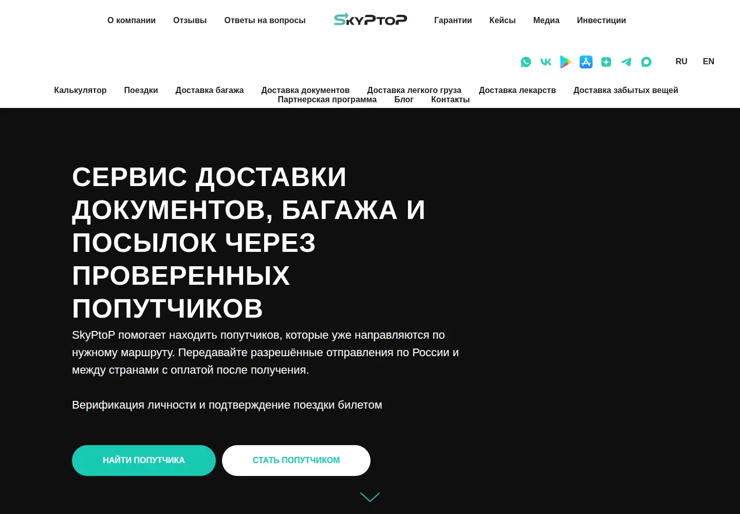 Captured homepage of skyptop.com in the current scan