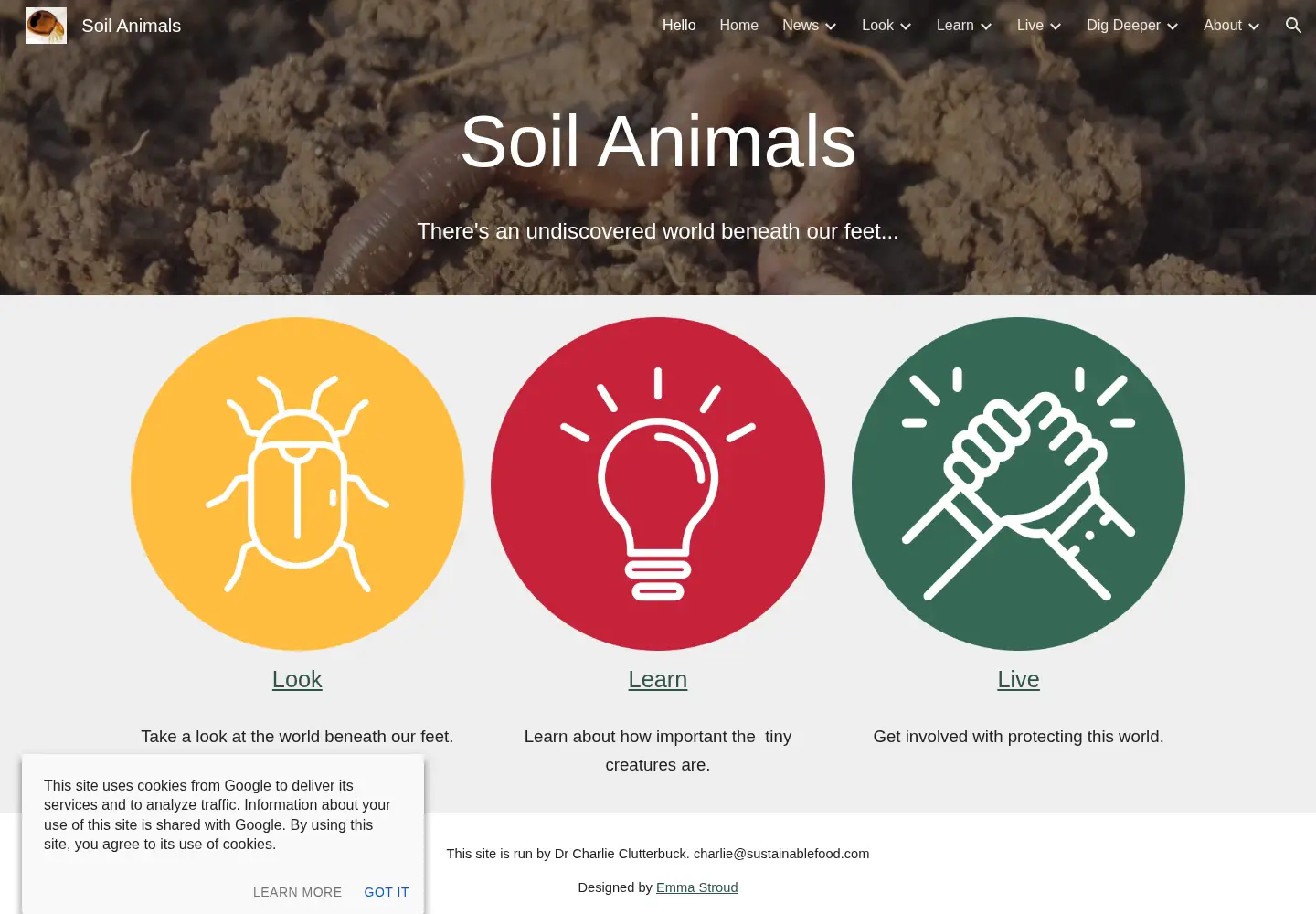 Captured homepage of soilanimals.com in the current scan