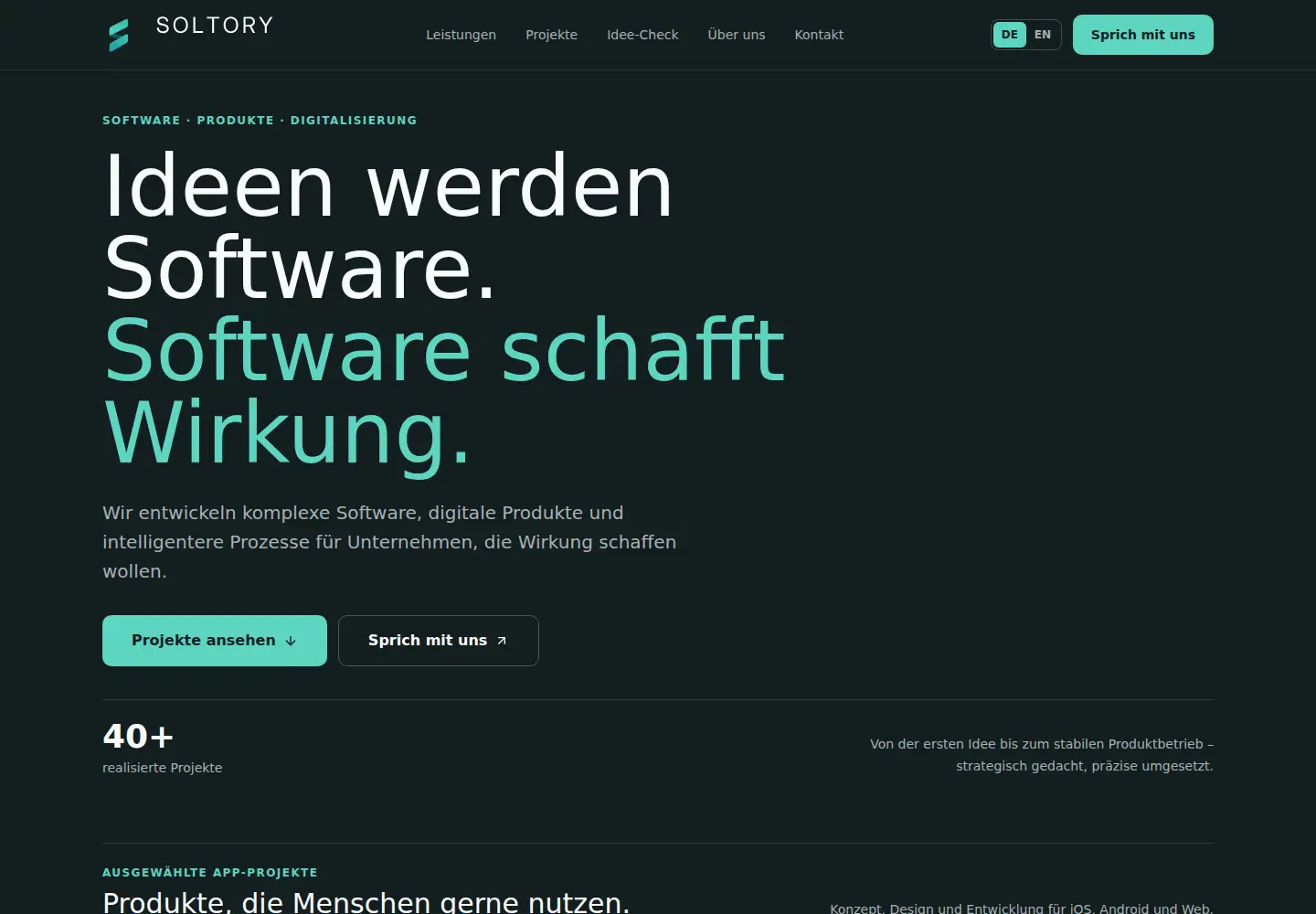 Captured homepage of soltory.com in the current scan