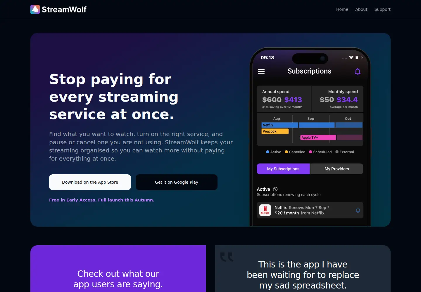Captured homepage of streamwolf.com in the current scan