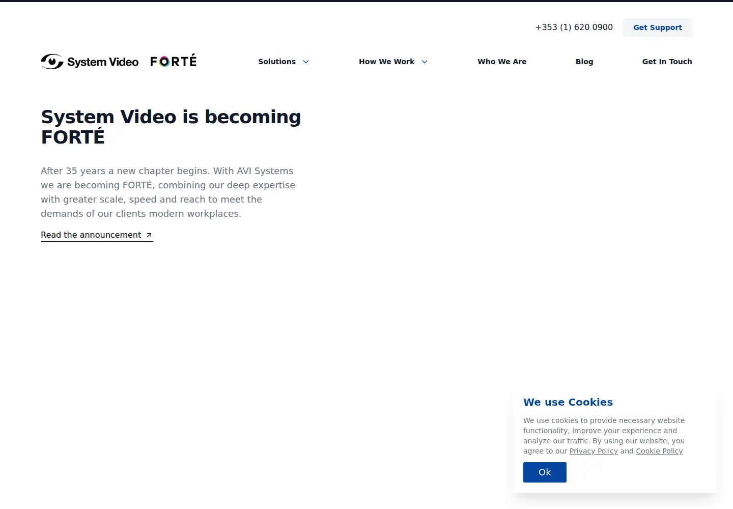 Captured homepage of systemvideo.com in the current scan