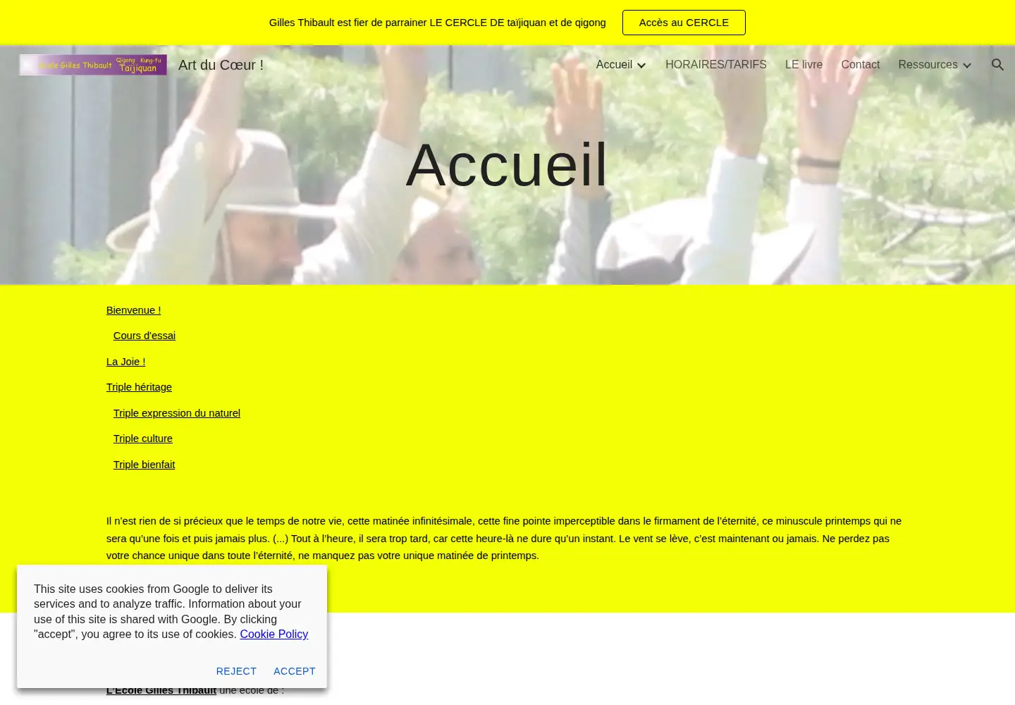 Captured homepage of t-j-q.com in the current scan