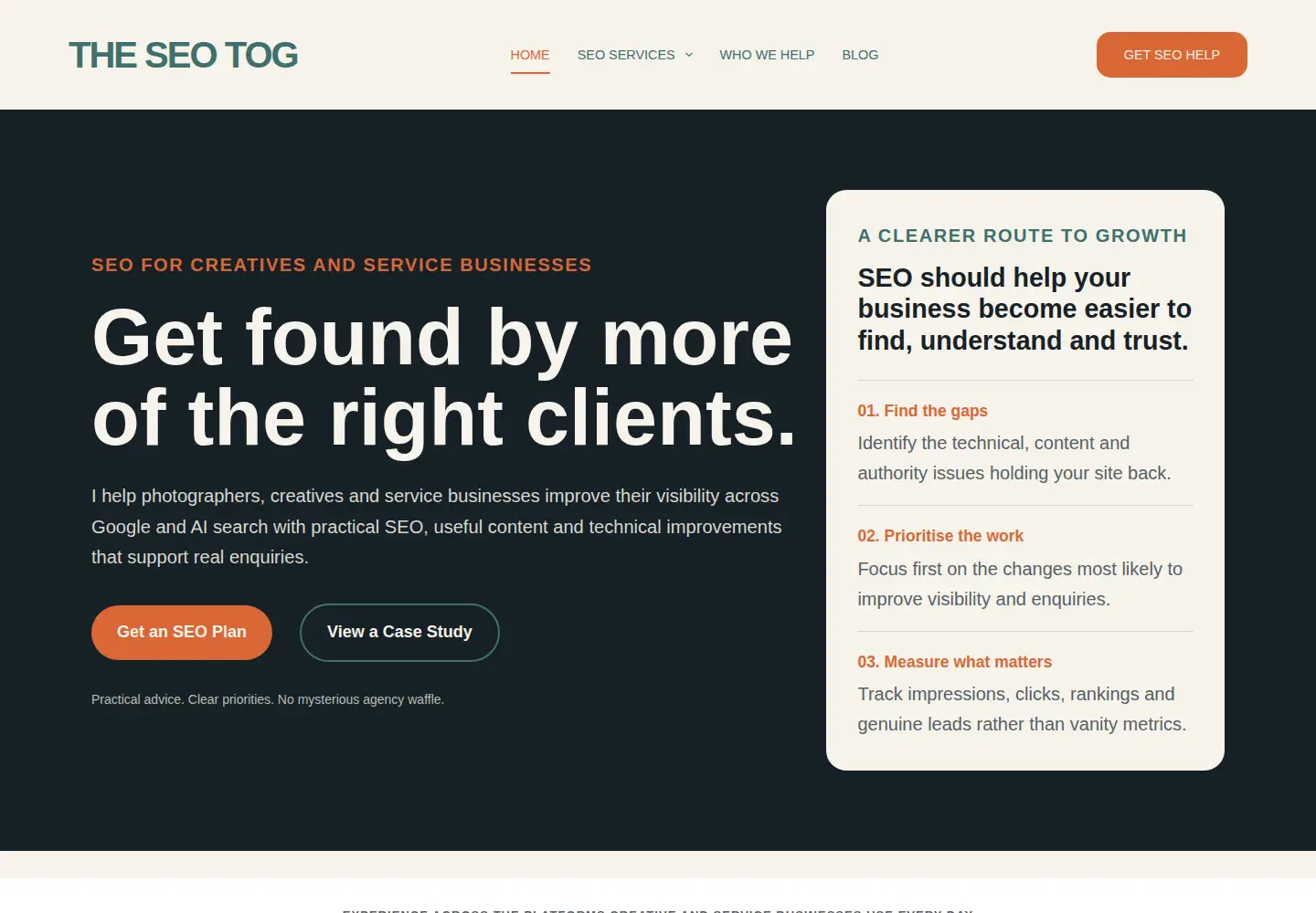 Screenshot of theseotog.com