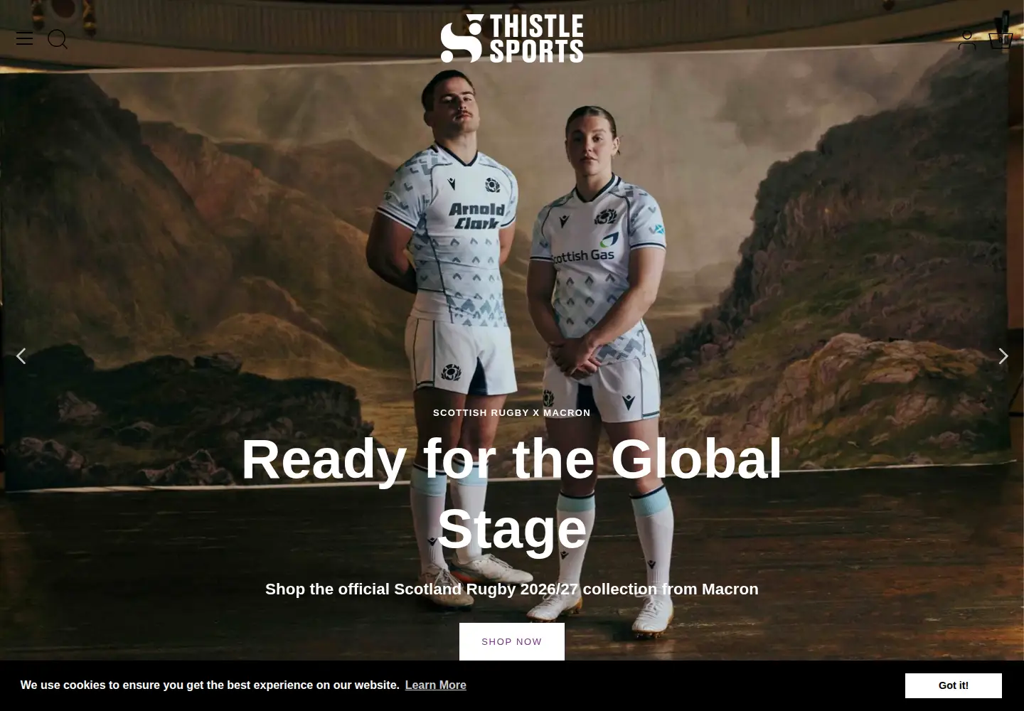 Captured homepage of thistlesports.com in the current scan