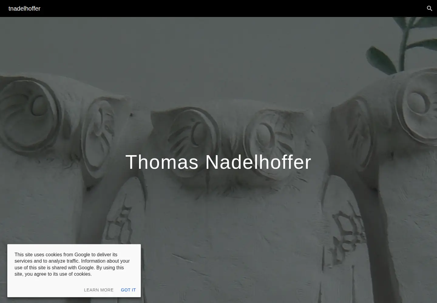 Captured homepage of thomasnadelhoffer.com in the current scan