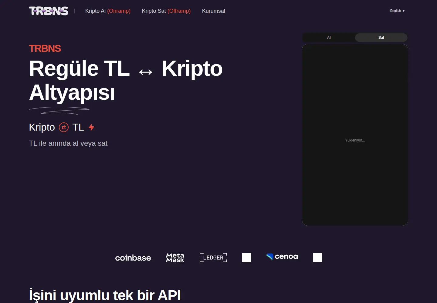 Captured homepage of trbns.com in the current scan