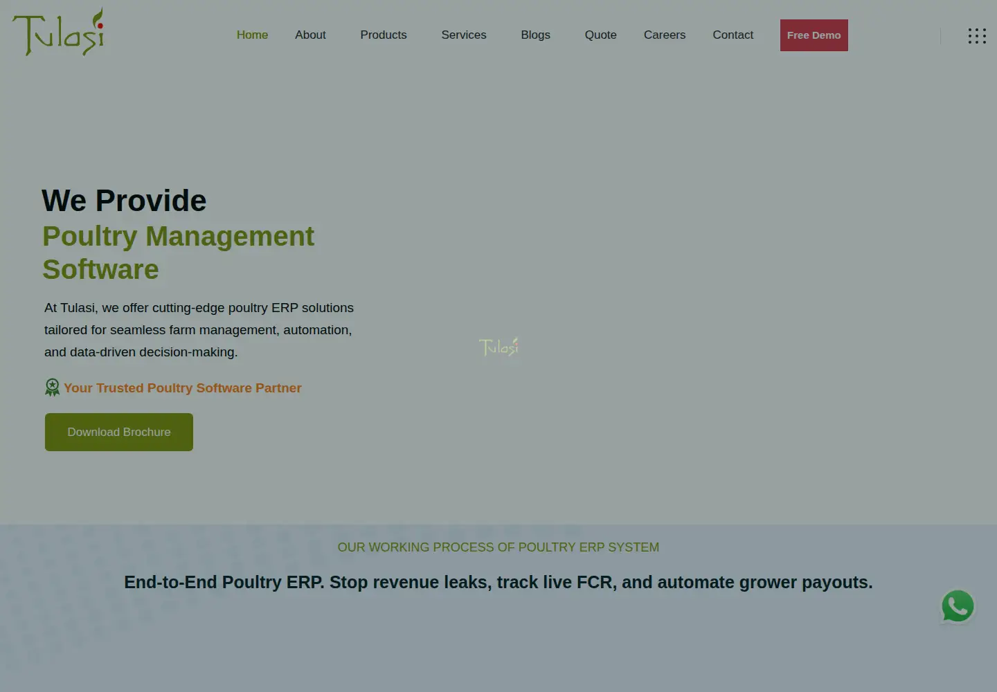 Screenshot of tulassi.com