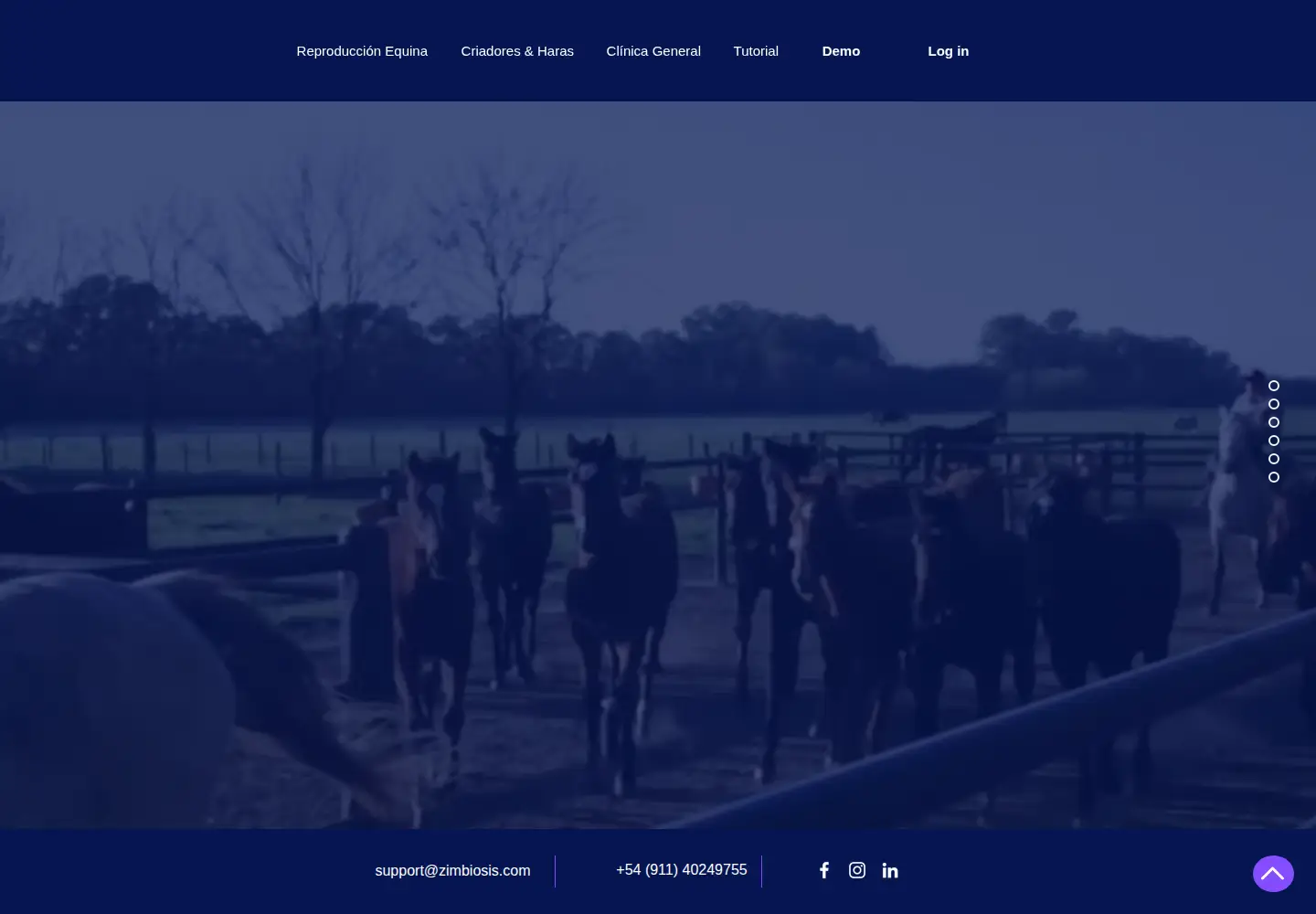 Screenshot of zimbiosis.com