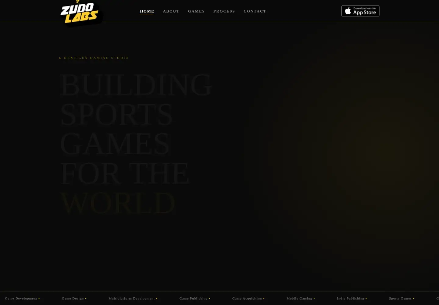 Screenshot of zudolabs.com