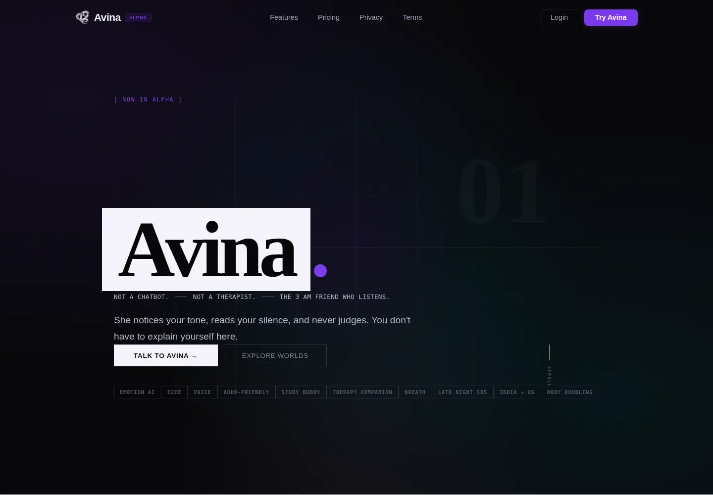 Captured homepage of avina.dev in the current scan