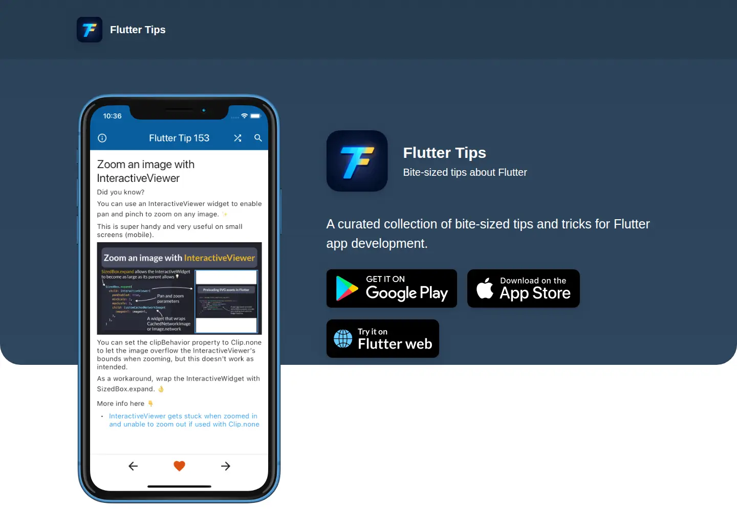 Captured homepage of fluttertips.dev in the current scan