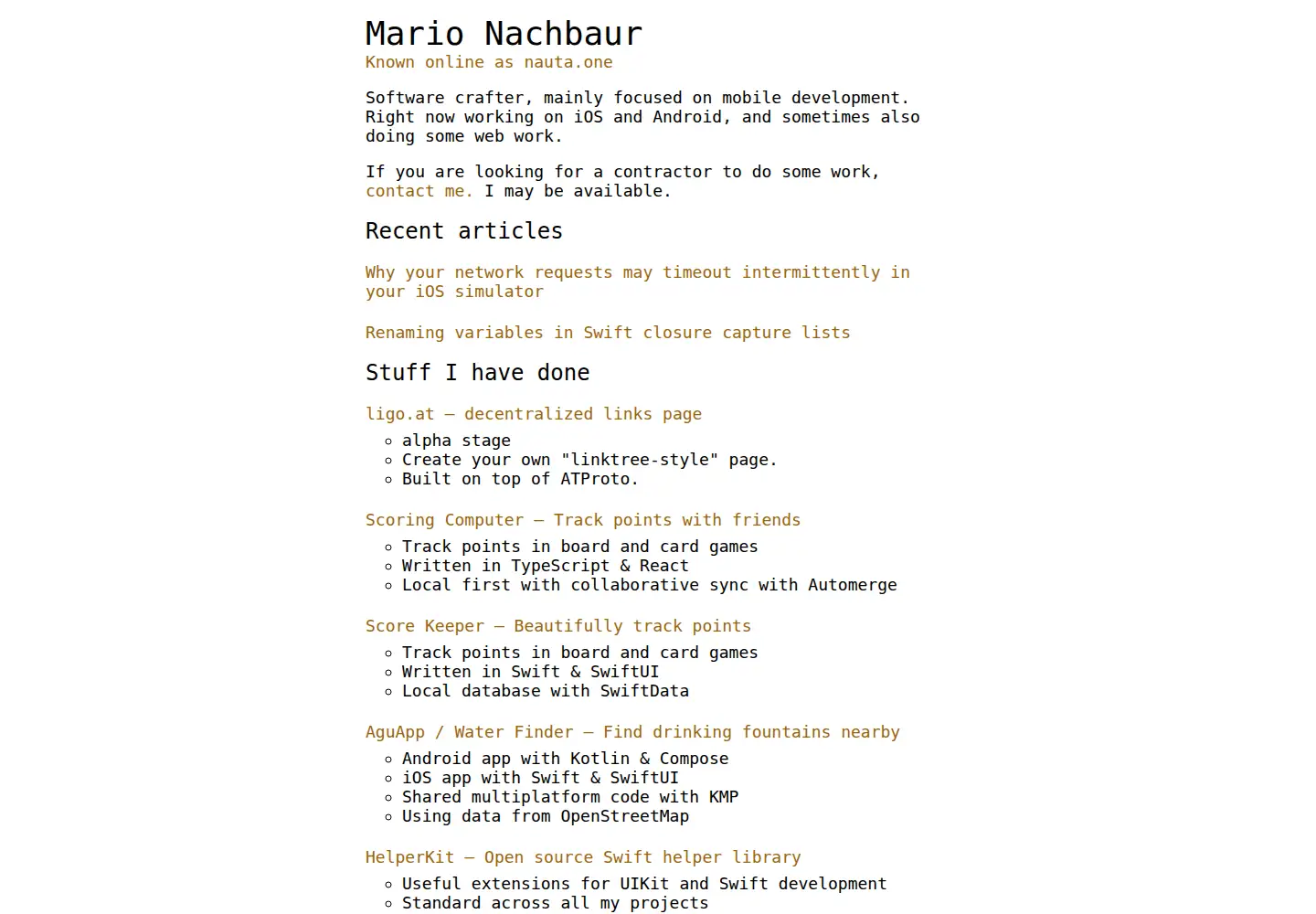 Captured homepage of nachbaur.dev in the current scan