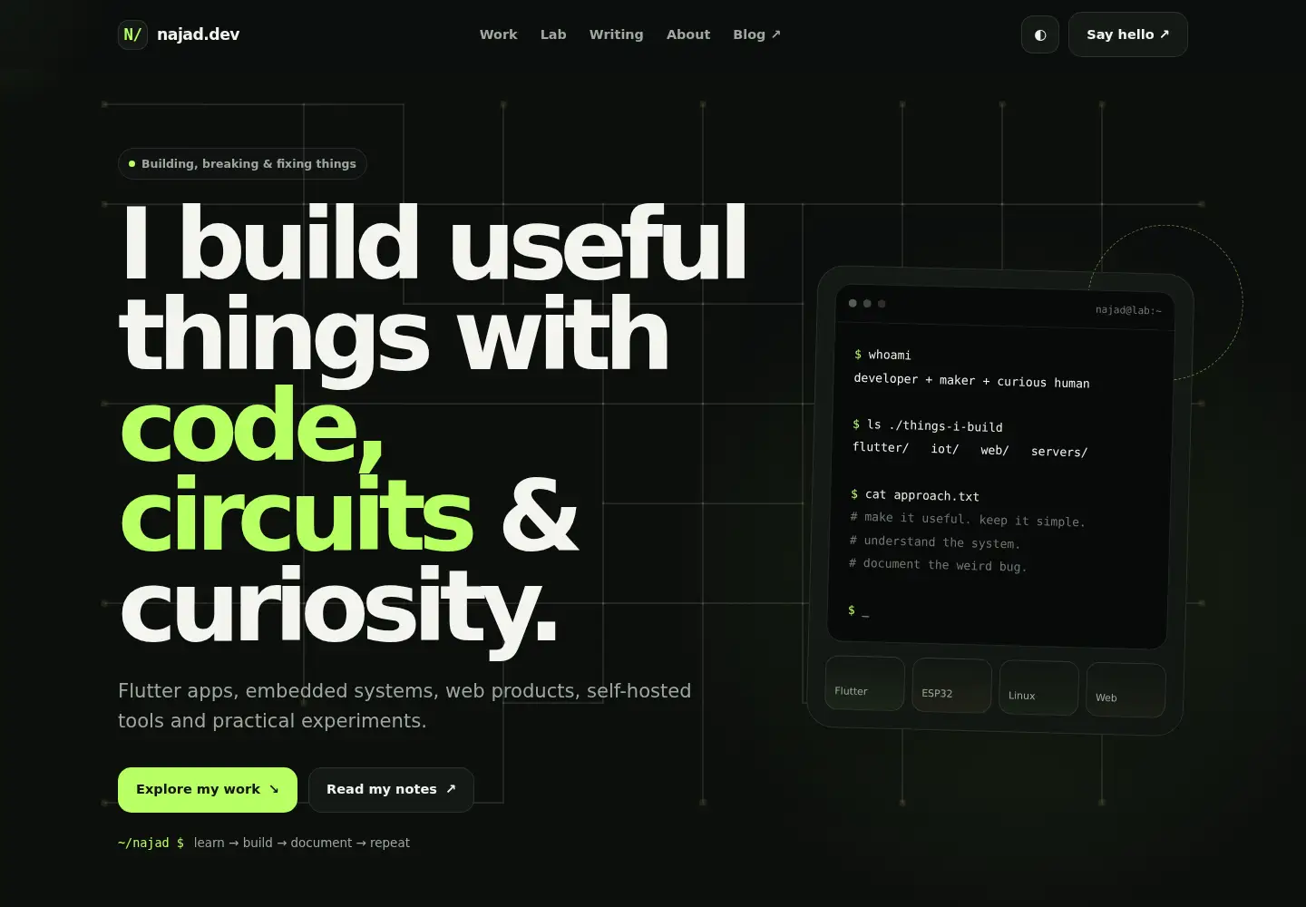 Captured homepage of najad.dev in the current scan