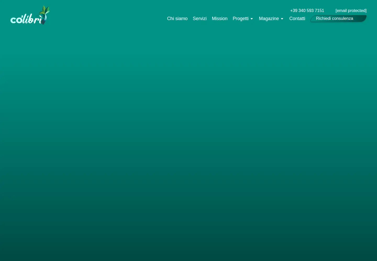 Captured homepage of co2libri.earth in the current scan