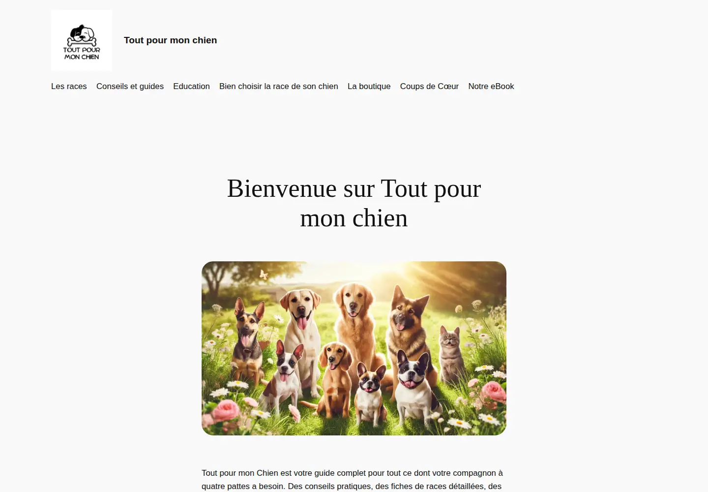 Captured homepage of dixy.fr in the current scan