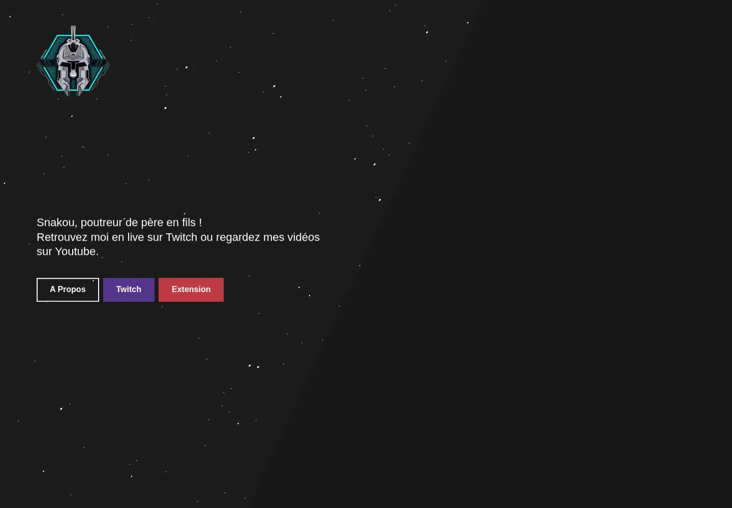 Captured homepage of mastersnakou.fr in the current scan