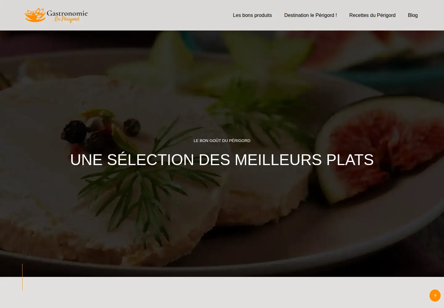 Captured homepage of gastronomie-en-perigord.info in the current scan
