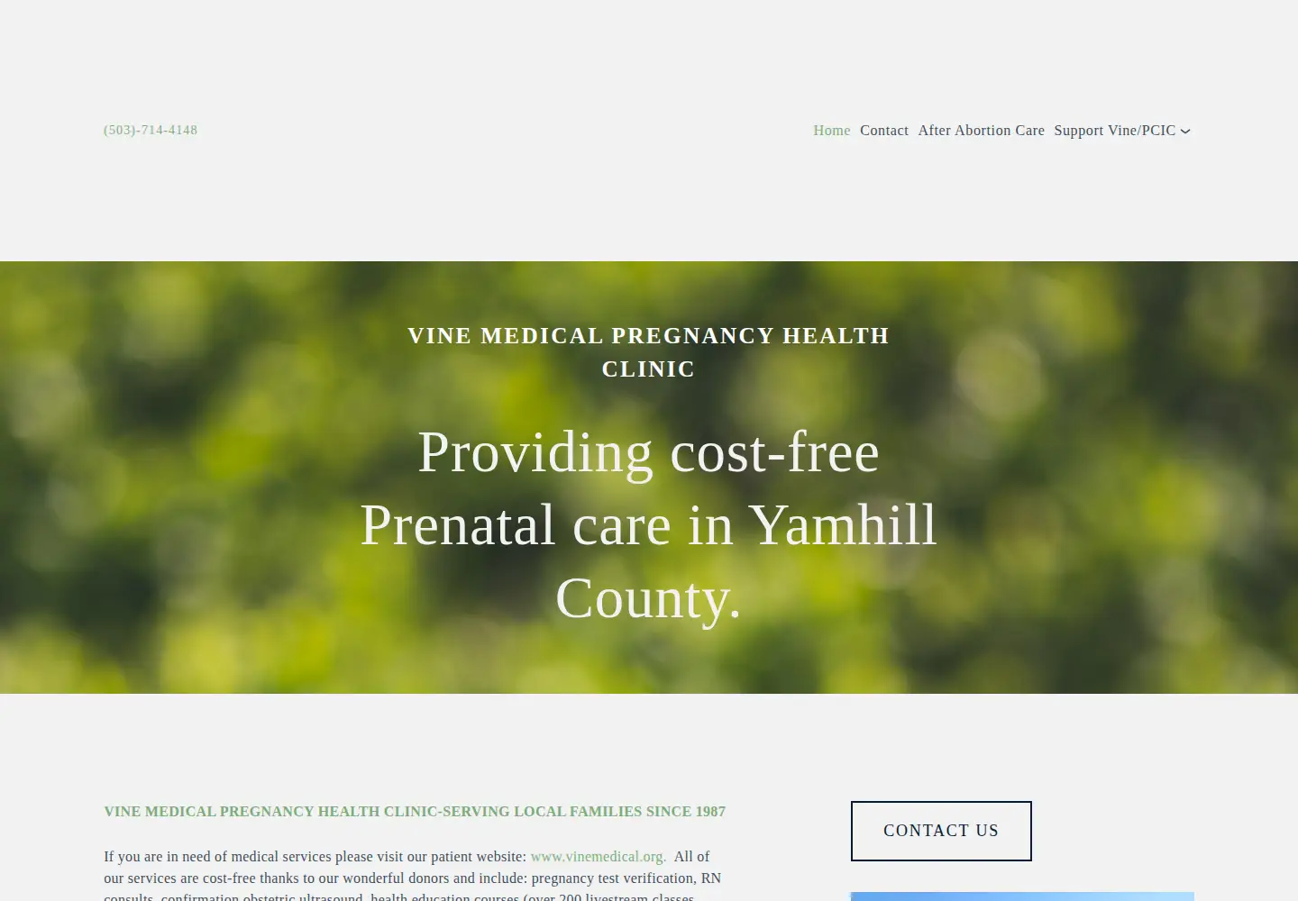 Screenshot of pregnancyhelp.info