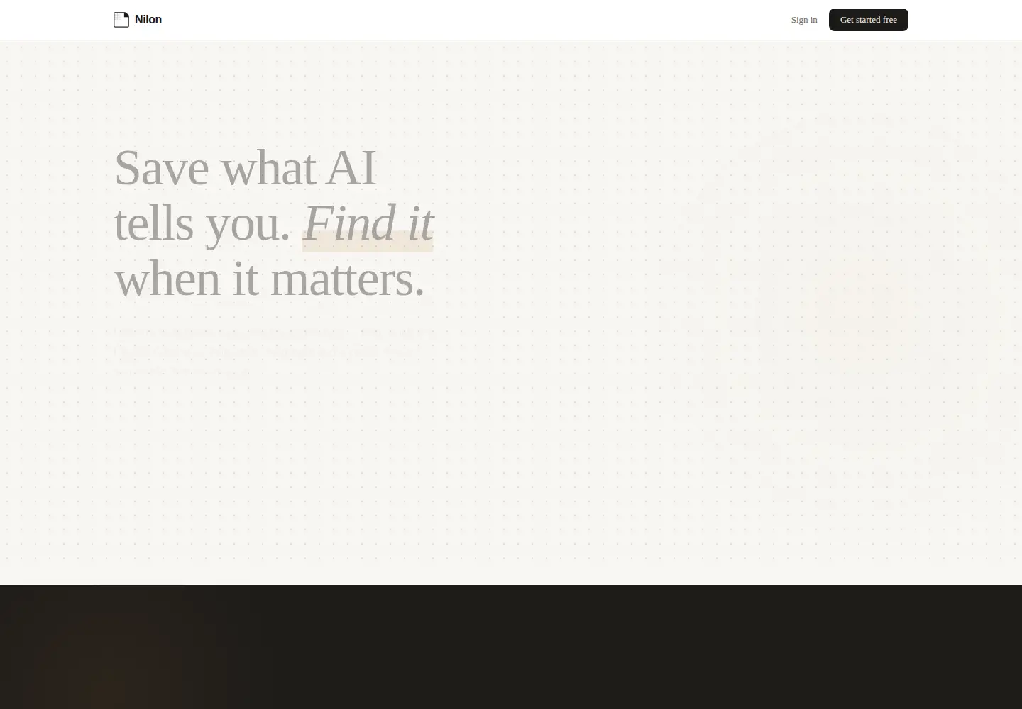 Captured homepage of nilon.io in the current scan