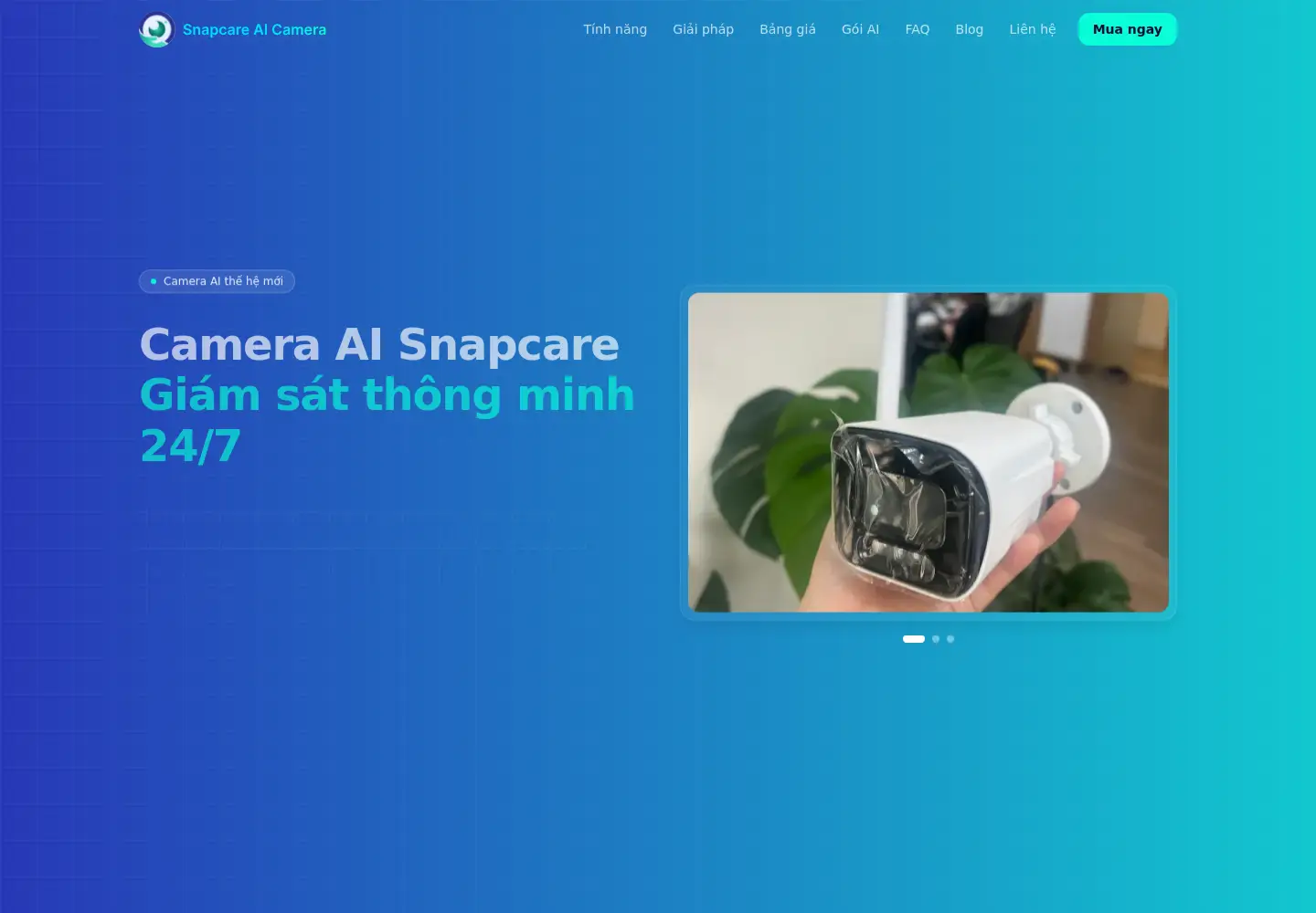 Screenshot of snapcare.io