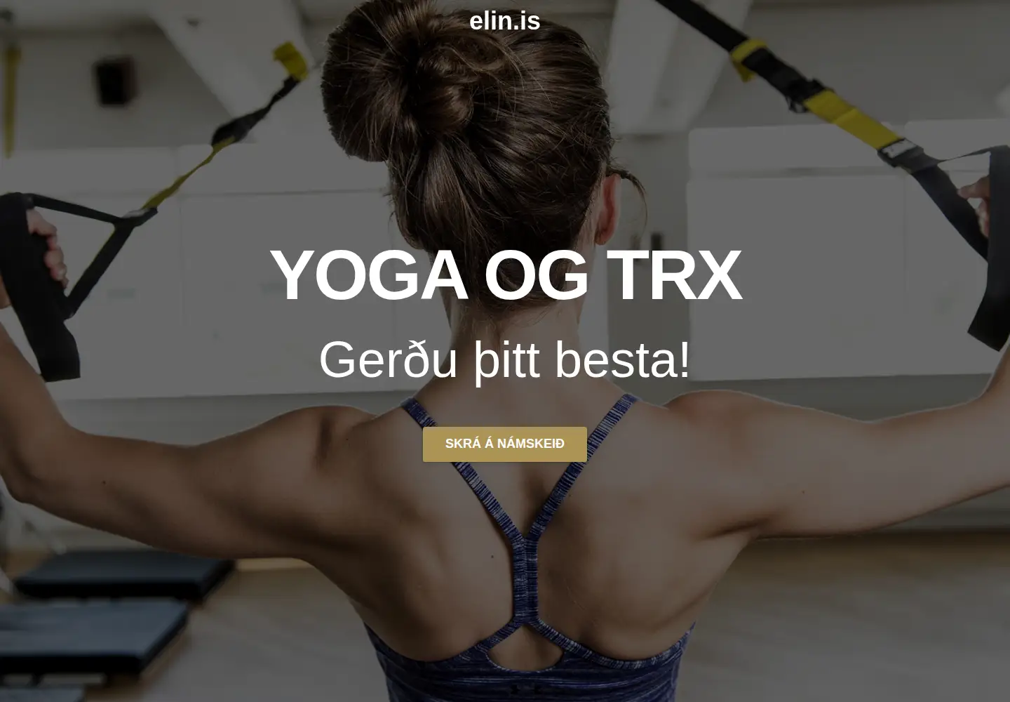 Screenshot of elin.is