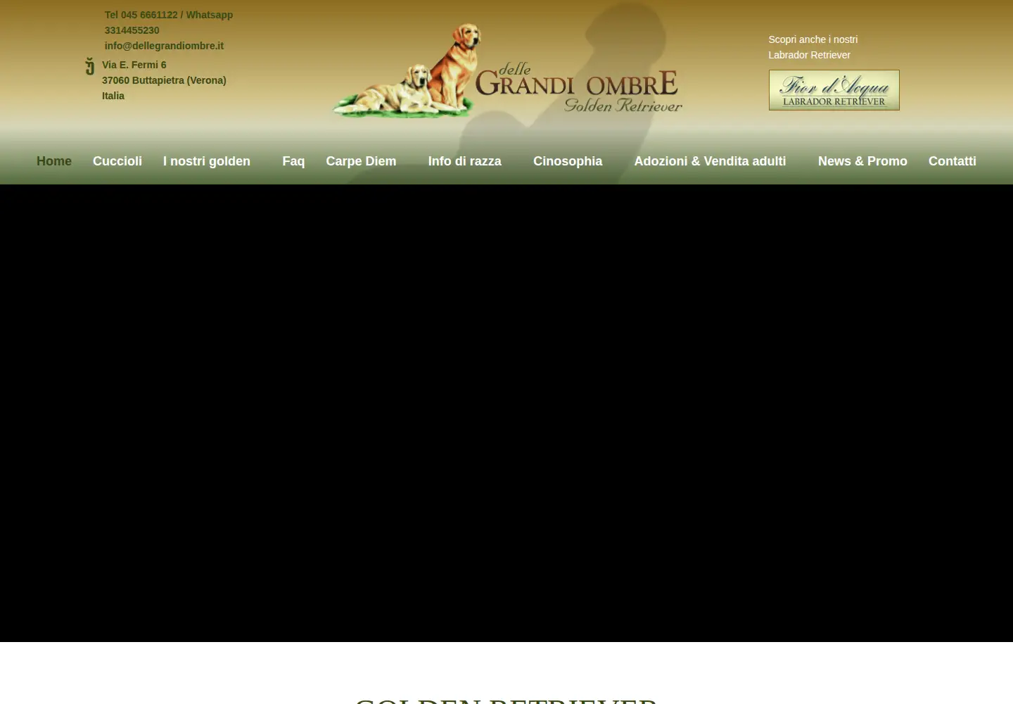 Screenshot of dellegrandiombre.it