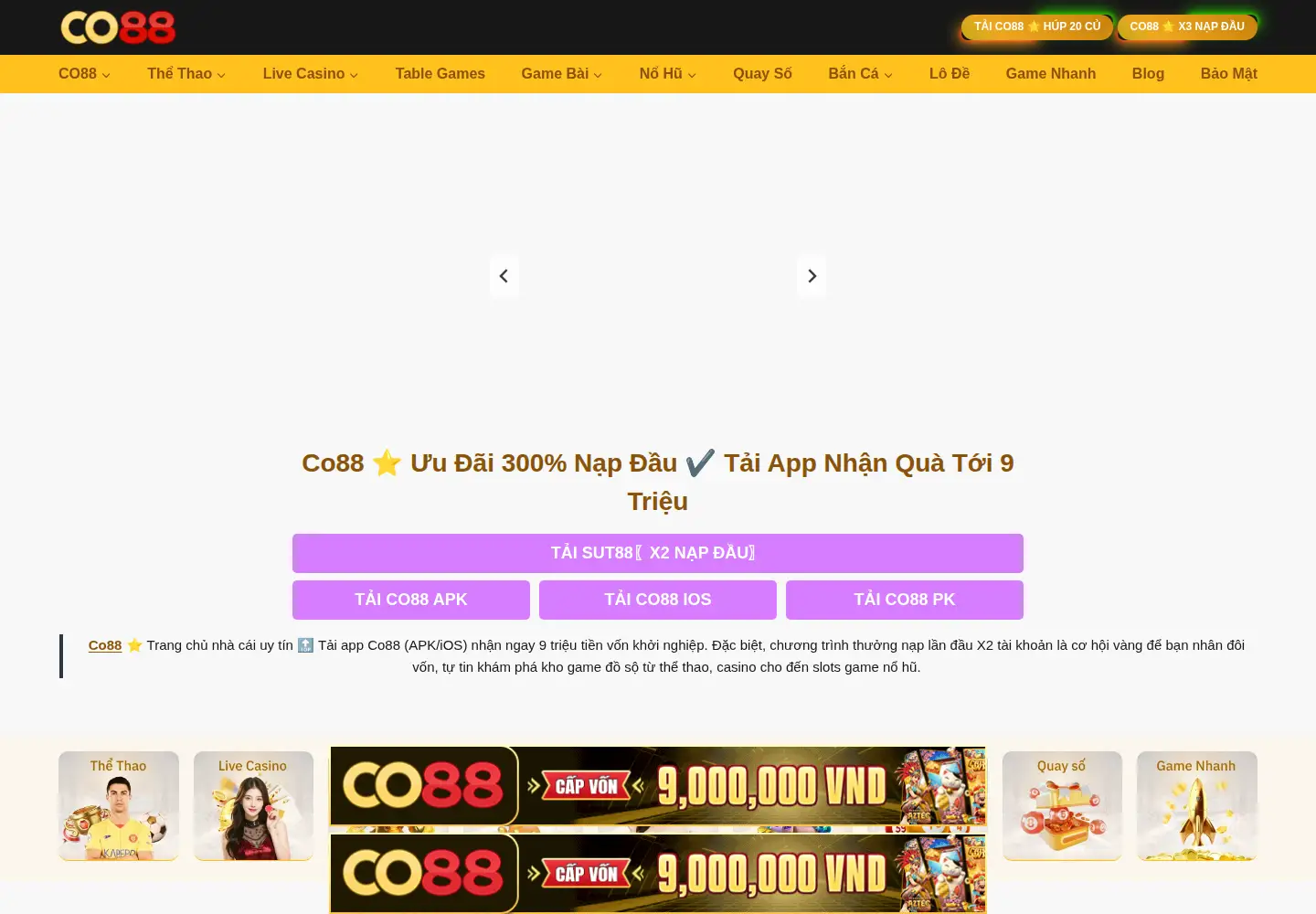 Captured homepage of co88.com.mx in the current scan