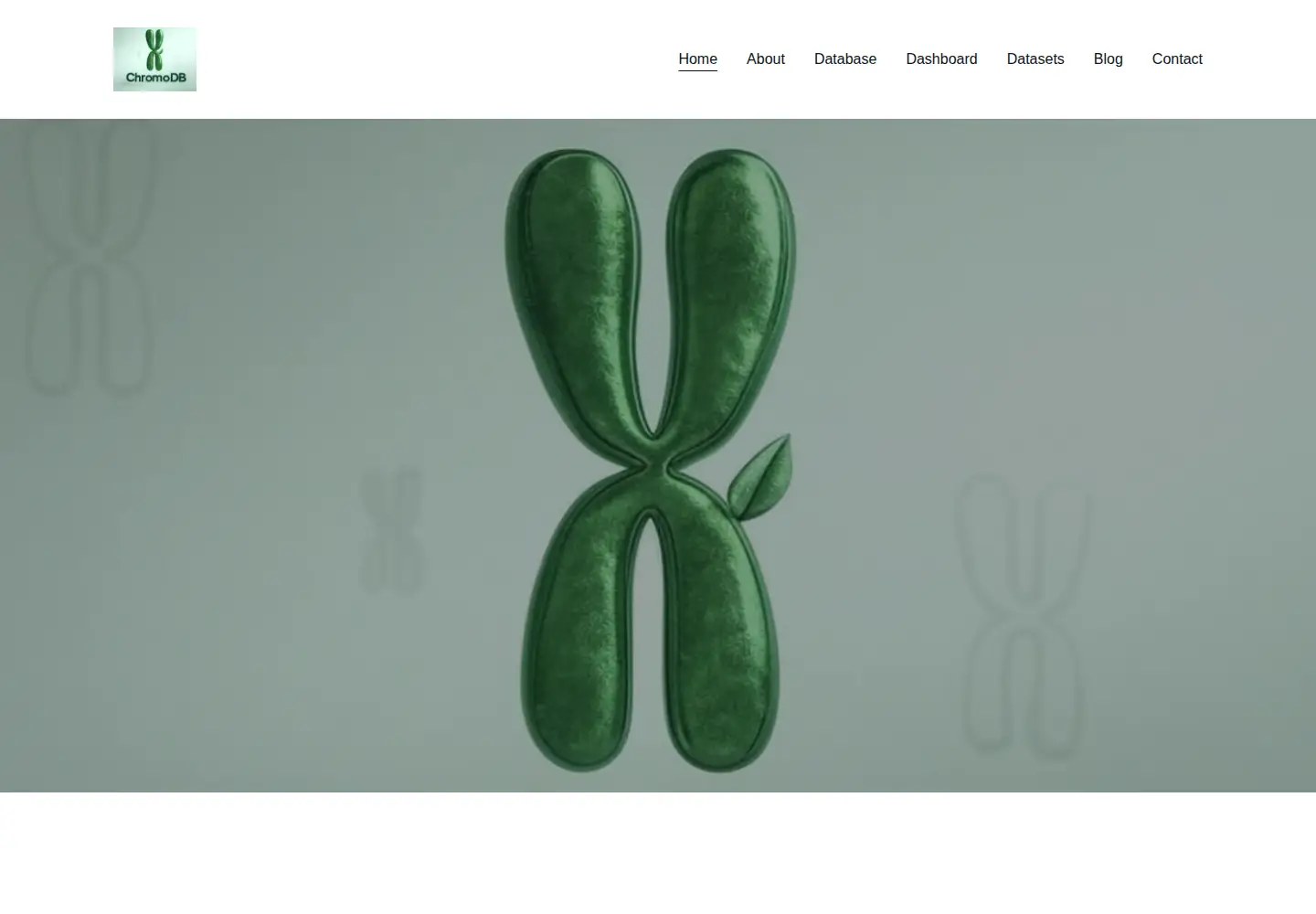 Captured homepage of chromodb.net in the current scan