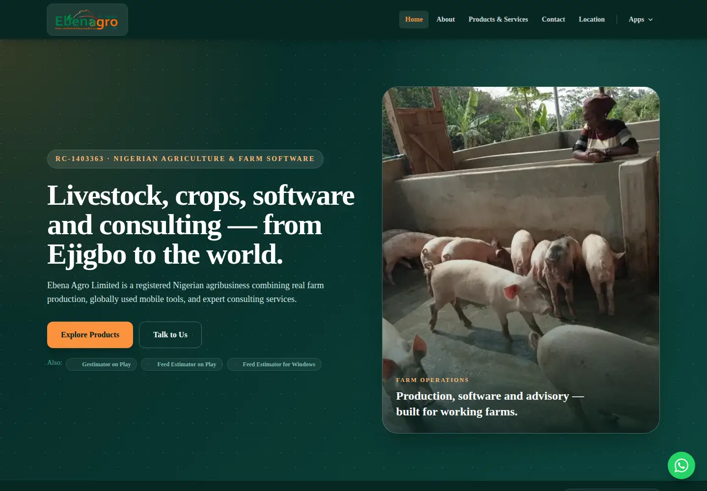 Screenshot of ebena.com.ng