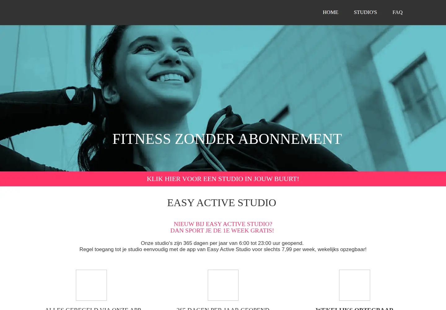 Captured homepage of easyactivestudio.nl in the current scan