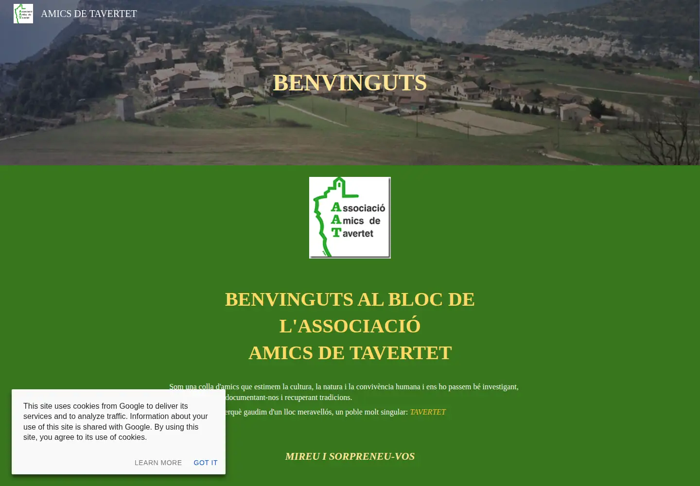 Screenshot of amicsdetavertet.org