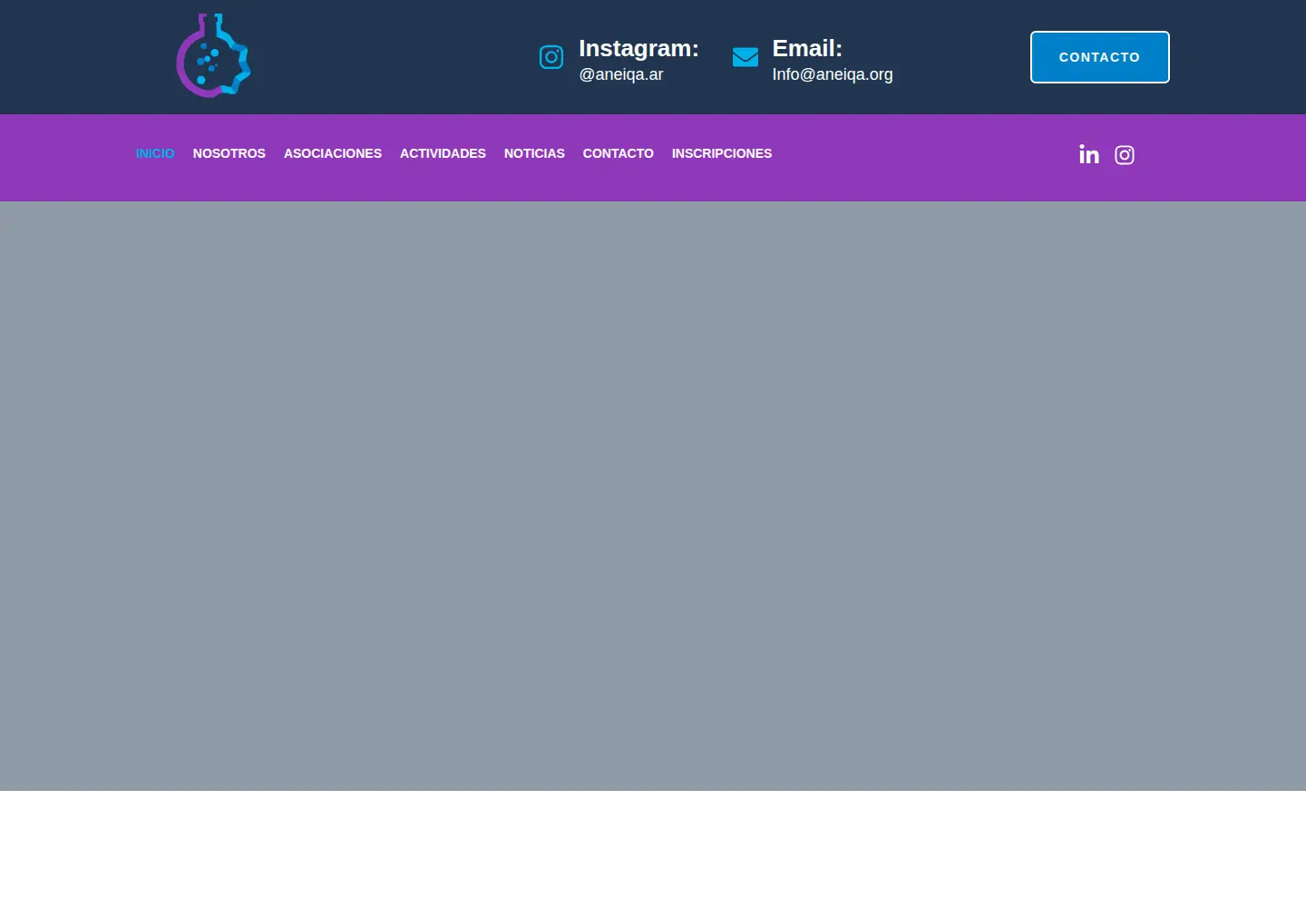 Captured homepage of aneiqa.org in the current scan