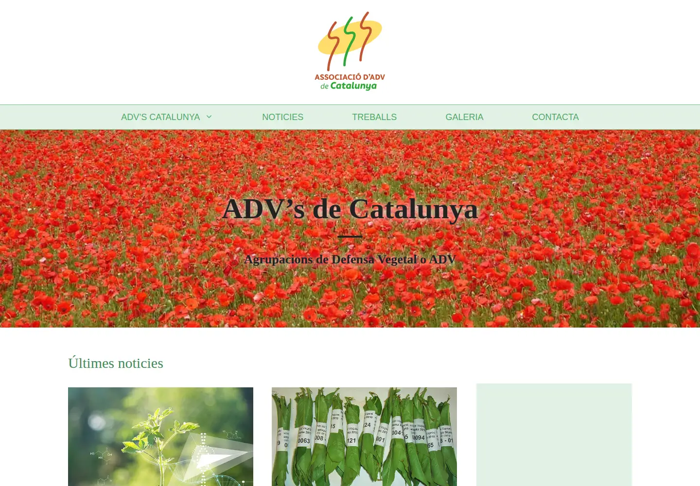 Screenshot of assadvcatalunya.org