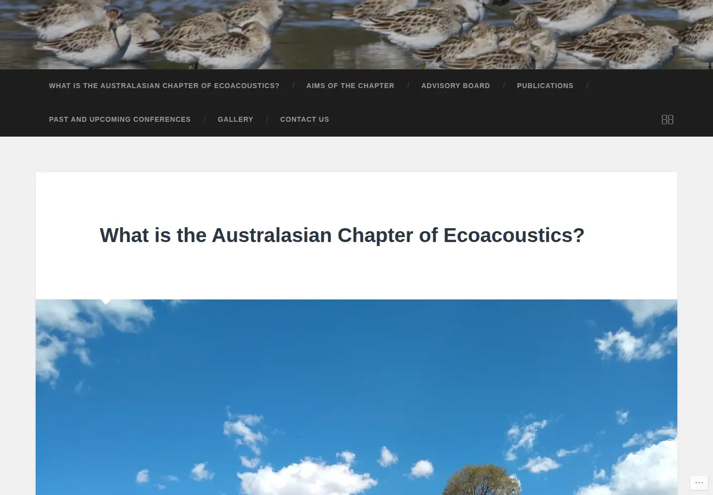 Screenshot of ausecoacoustics.org