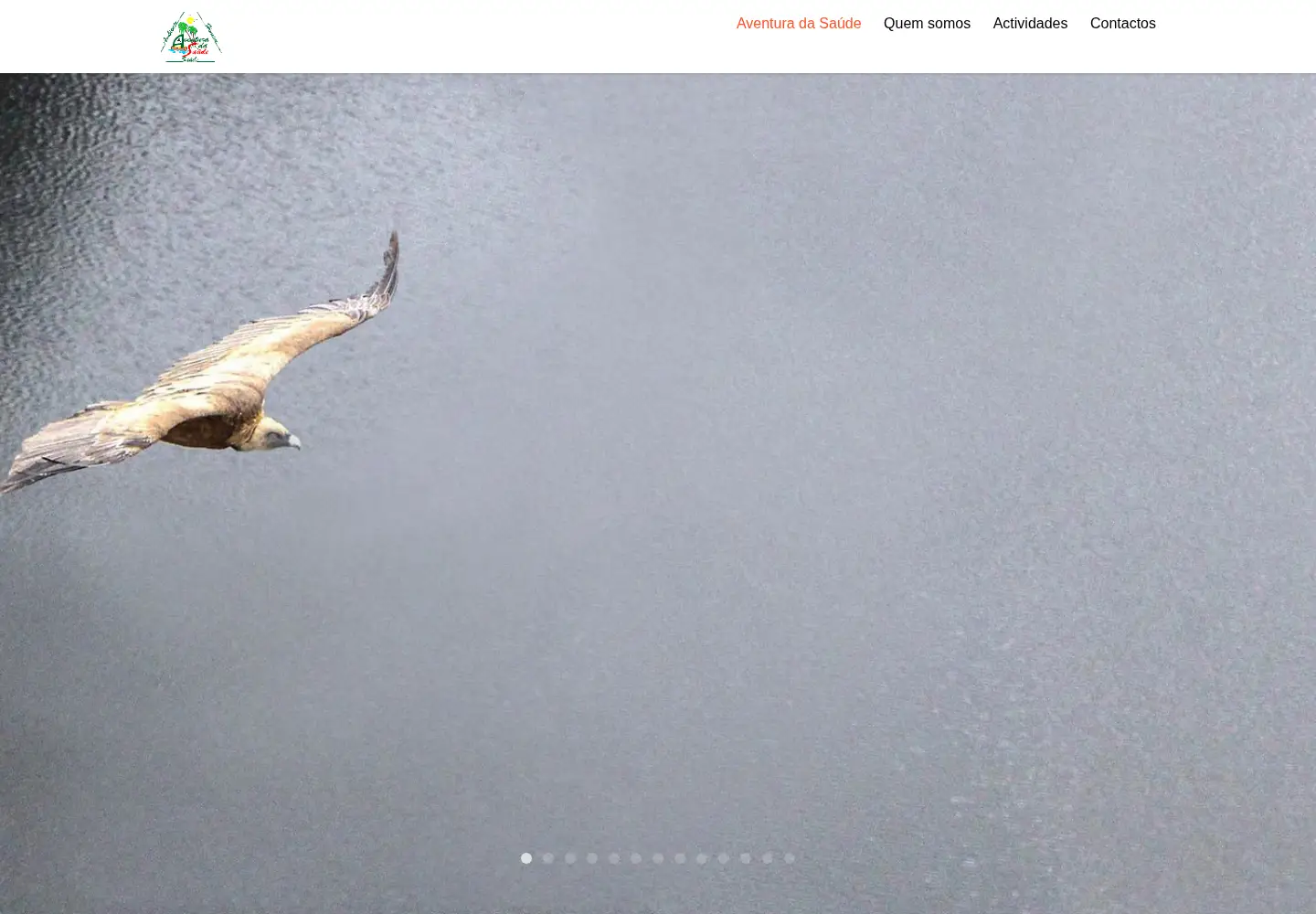 Screenshot of aventuradasaude.org