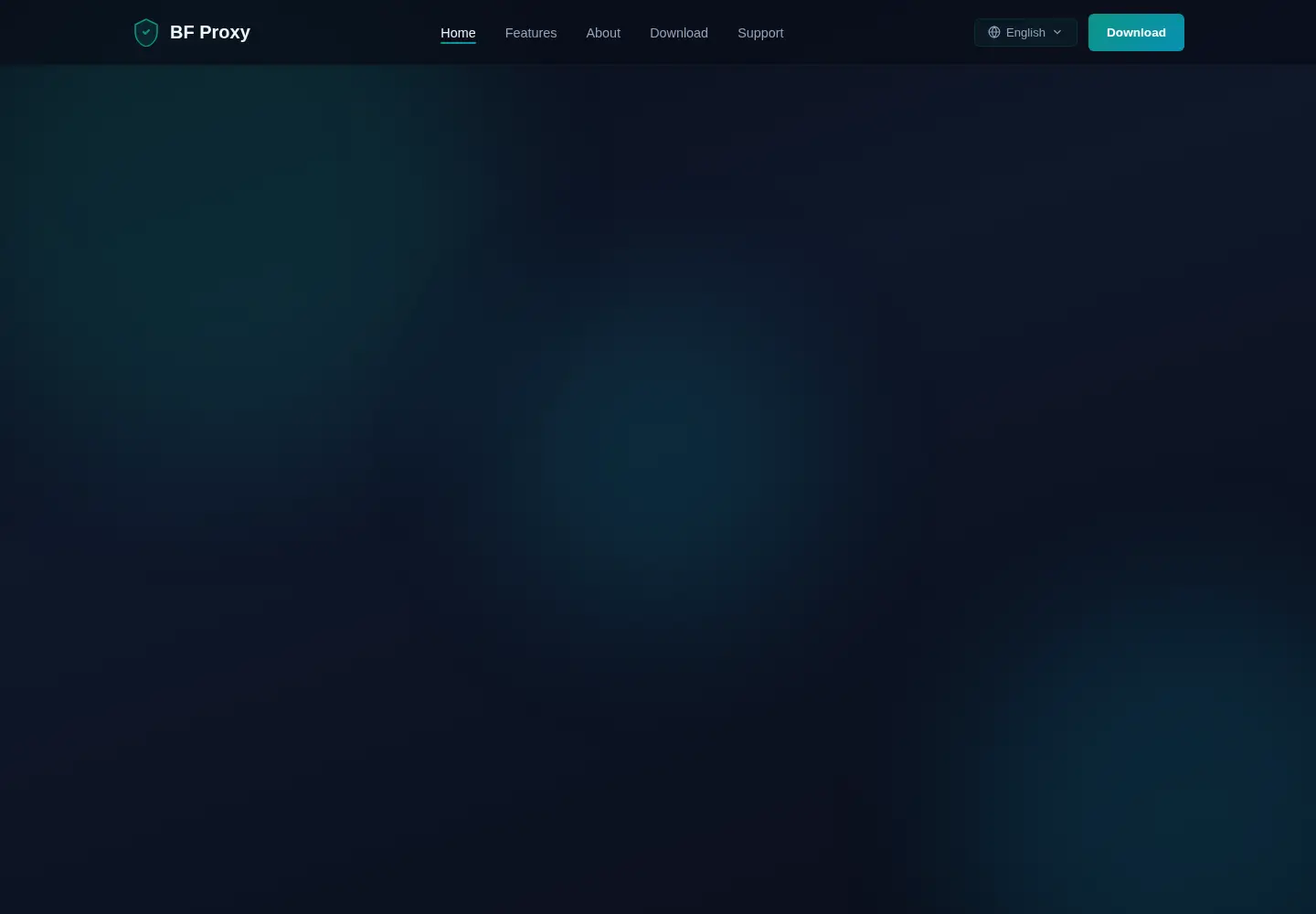 Captured homepage of bfproxy.org in the current scan