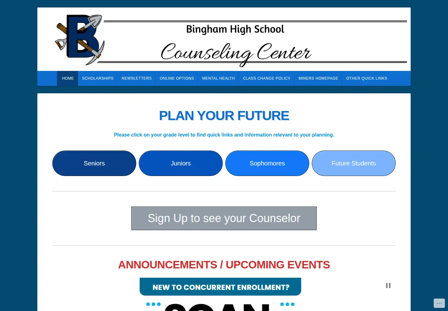 Captured homepage of binghamcounseling.org in the current scan