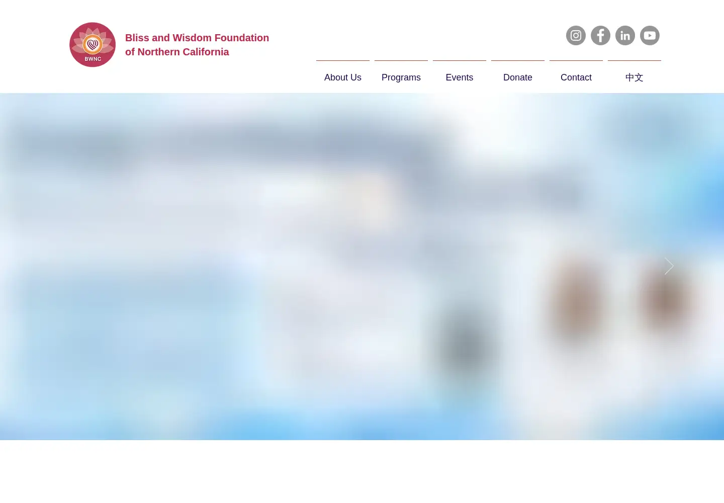 Screenshot of bwnc.org