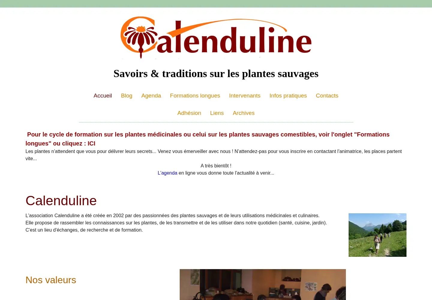 Screenshot of calenduline.org