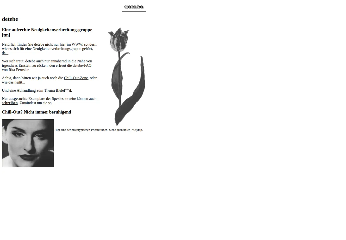 Screenshot of detebe.org