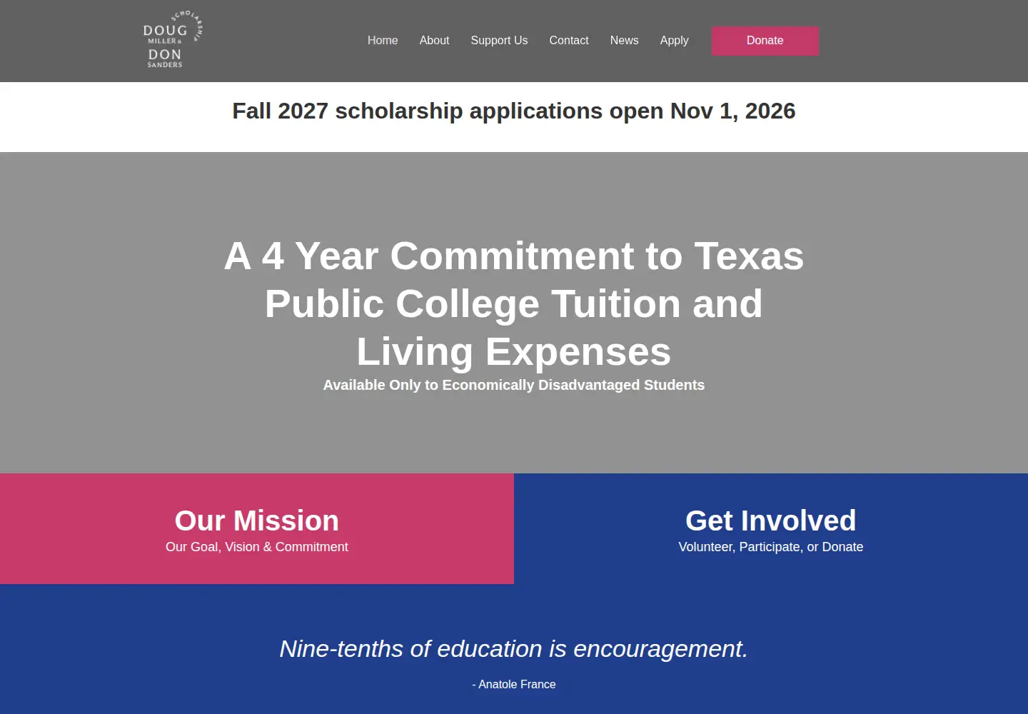 Screenshot of dmdsscholarship.org