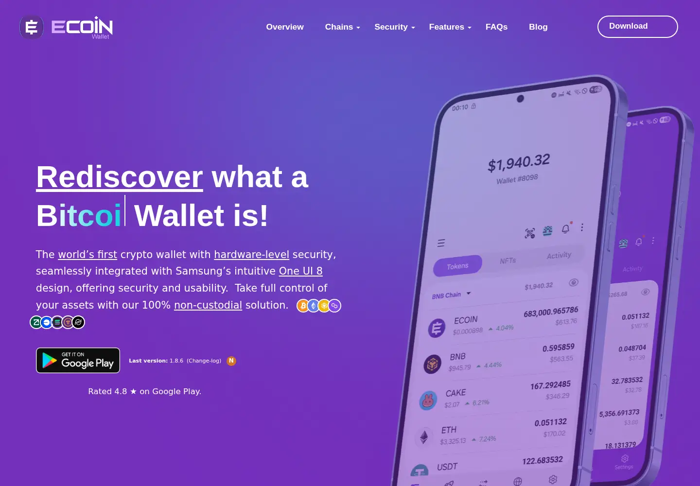 Captured homepage of ecoinwallet.org in the current scan
