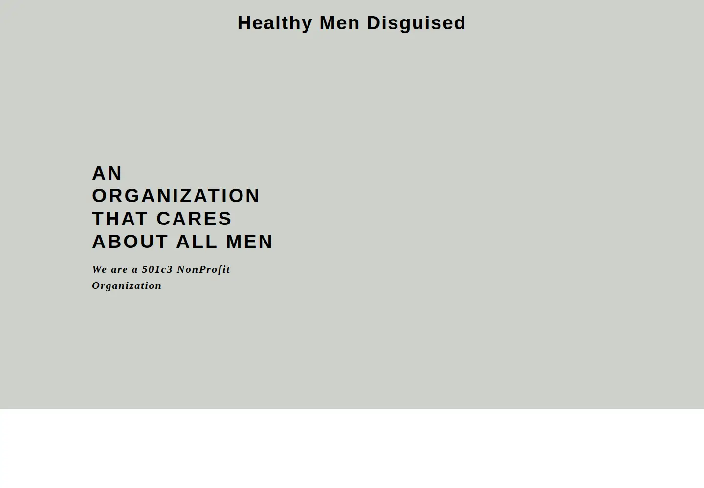 Screenshot of healthymendisguised.org