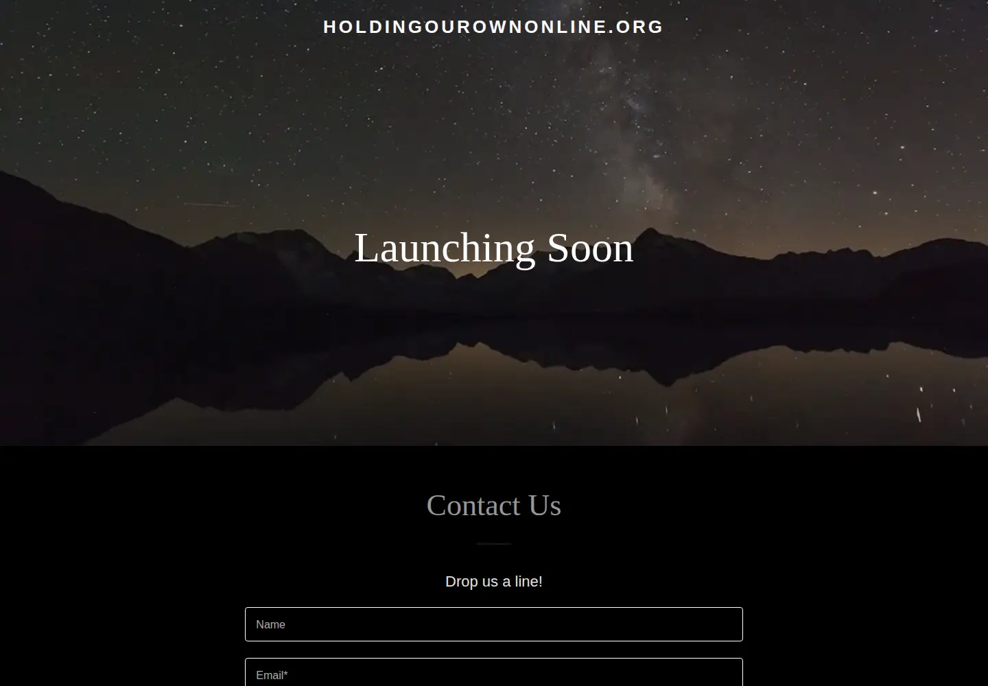 Captured homepage of holdingourownonline.org in the current scan